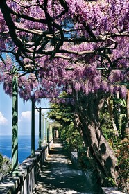 Grand Hotel Excelsior Vittoria