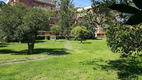 Lemon Rooms Sorrento