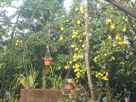 Oasi Madre Della Pace