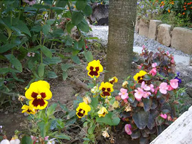 Oasi Madre Della Pace