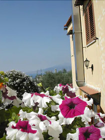 Oasi Madre Della Pace