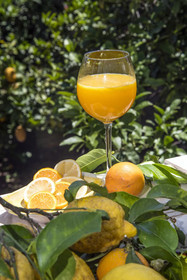 Relais Correale Sorrento