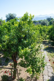 Relais Correale Sorrento