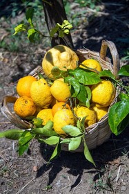 Relais Correale Sorrento