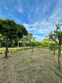 Villa Carafa de Cillis