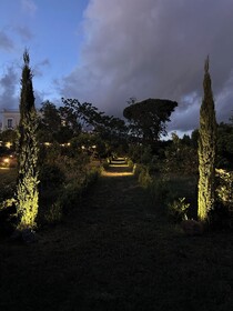 Villa Carafa de Cillis