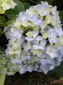 Bed and Breakfast Puntaferano