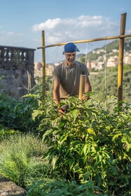 La Tuja Relais du Parc