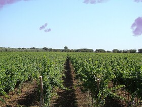 Relais Terre di Terre