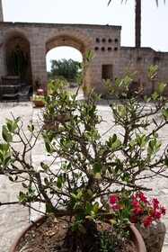 Relais Terre di Terre