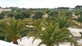 B&B Agriturismo Tenuta Barone