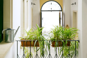 Bed and Breakfast Dimora San Vincenzo