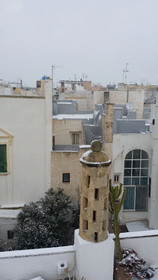 Corte Moline