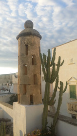 Corte Moline