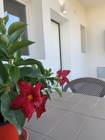 Aragon Cottage Appartament