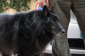 Ca' Donatella Mare & BBQ