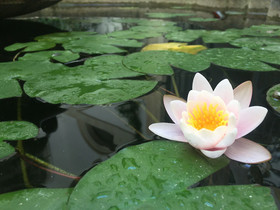 Relais Monastero Santa Teresa