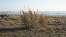 Heraclea Hotel Residence