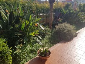 Casa Del Musicista Villa Relax