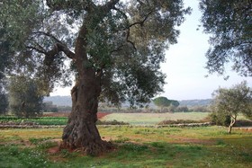 Terra di Leuca