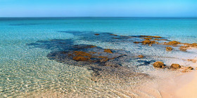 Villa Quattro Pini Bed and Breakfast