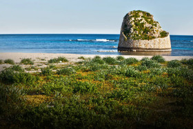 Villa Quattro Pini Bed and Breakfast