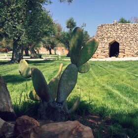 Masseria Relais Santa Teresa