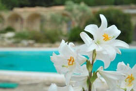 Masseria Relais Santa Teresa