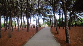 Apulia Hotel Sellia Marina