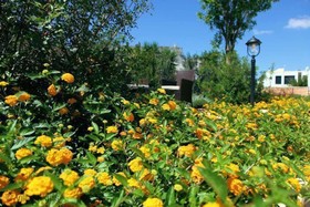 The Courtyard - Elsa