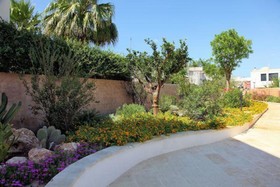 The Courtyard - Rosa