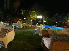 All’Ombra Del Palmeto