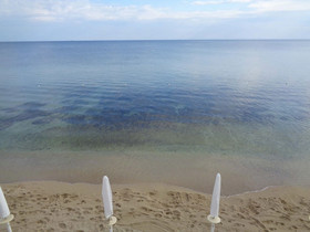 All’Ombra Del Palmeto