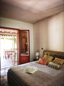 All’Ombra Del Palmeto