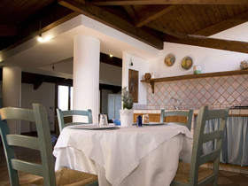 All’Ombra Del Palmeto