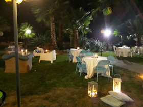 All’Ombra Del Palmeto