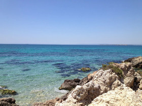 All’Ombra Del Palmeto