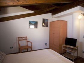 All’Ombra Del Palmeto