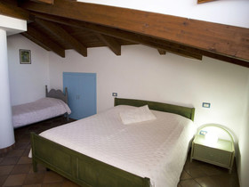 All’Ombra Del Palmeto