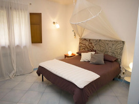 All’Ombra Del Palmeto