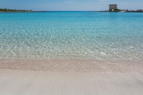 Villetta Del Delfino