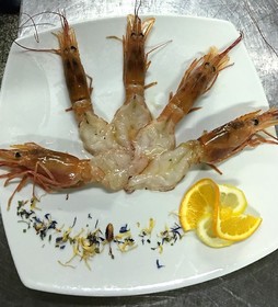 Terra d’Acqua Resort