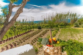 Il Gattopardo Hotel Terme & Beauty Farm