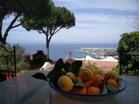Villa Andrea