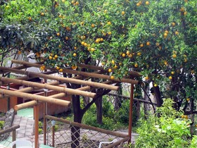 Villa Marinu