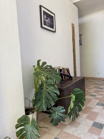 Black Market Hotel