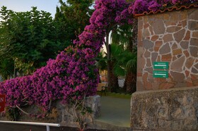 Parco Cartaromana