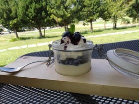 Agriturismo San Gallo