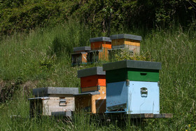 B&B Terre Aromatiche