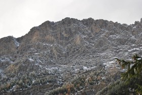 Hotel Clari